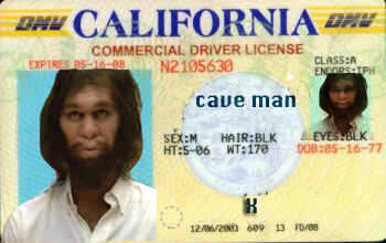 Fake License
