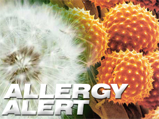 Allergy Alerts